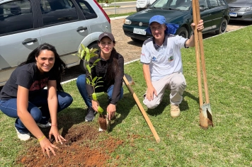 Educação Ambiental em Albertina vira ação prática com início do Projeto de Arborização Urbana