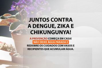 Juntos Contra o Aedes Aegypti 