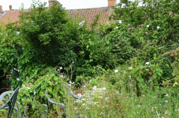 Prefeitura de Albertina notifica proprietários para limpeza de terrenos baldios