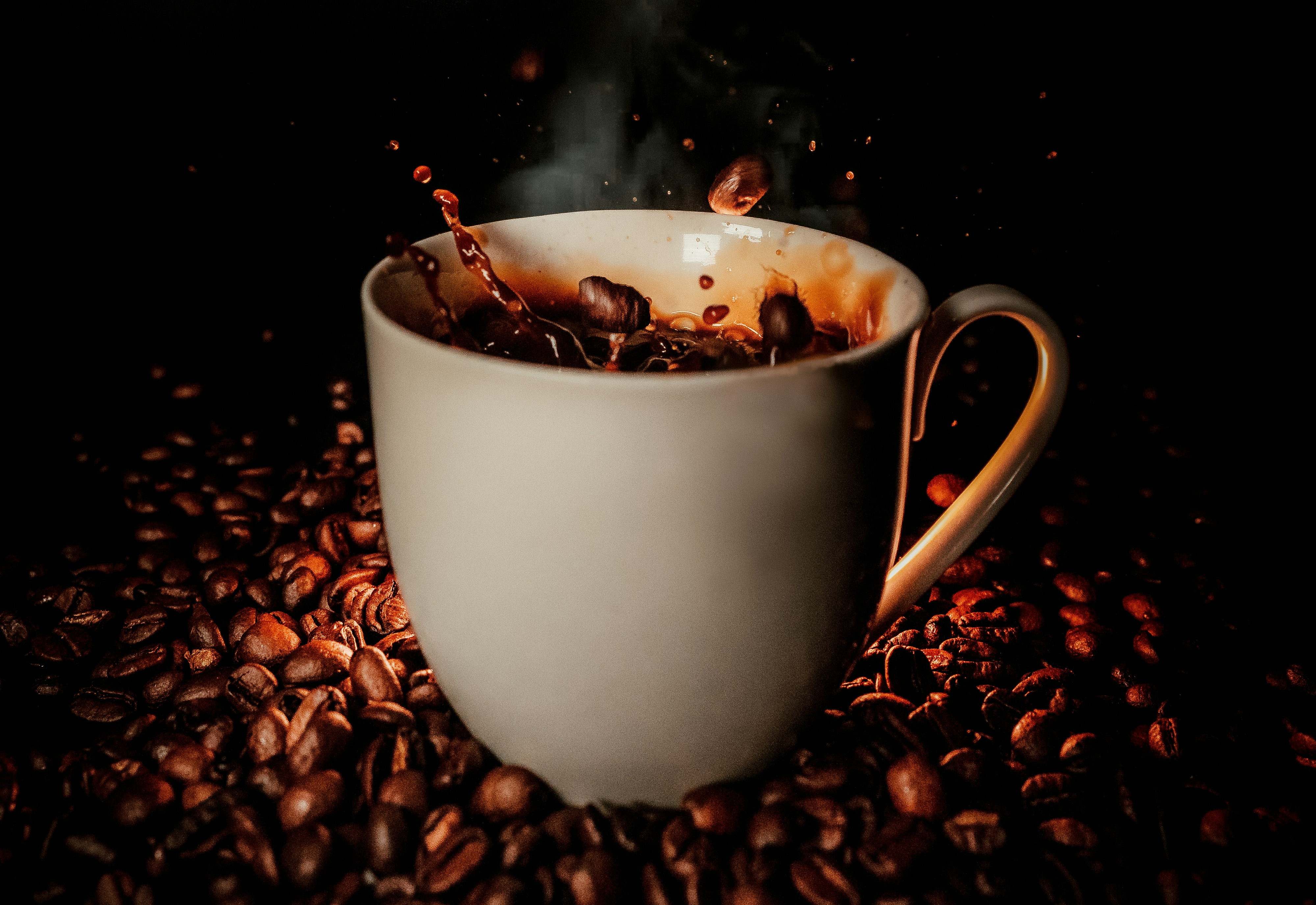  Concurso valoriza o café de Albertina e seleciona melhores produtores da cidade