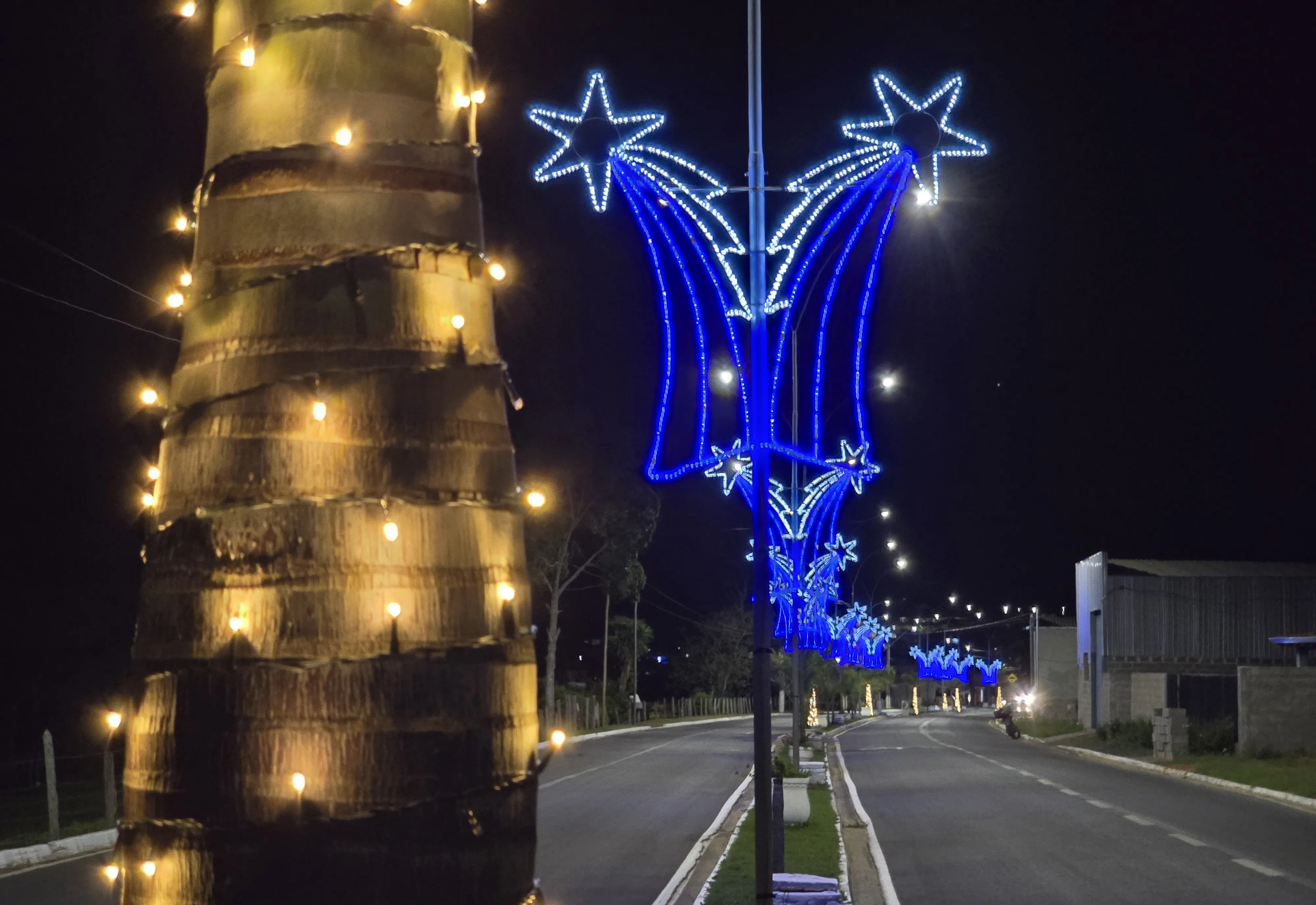 Albertina iluminada: decoração de Natal transforma a cidade e prepara noites especiais de dezembro