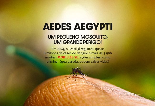 Aedes aegypti: um pequeno mosquito, um grande perigo!