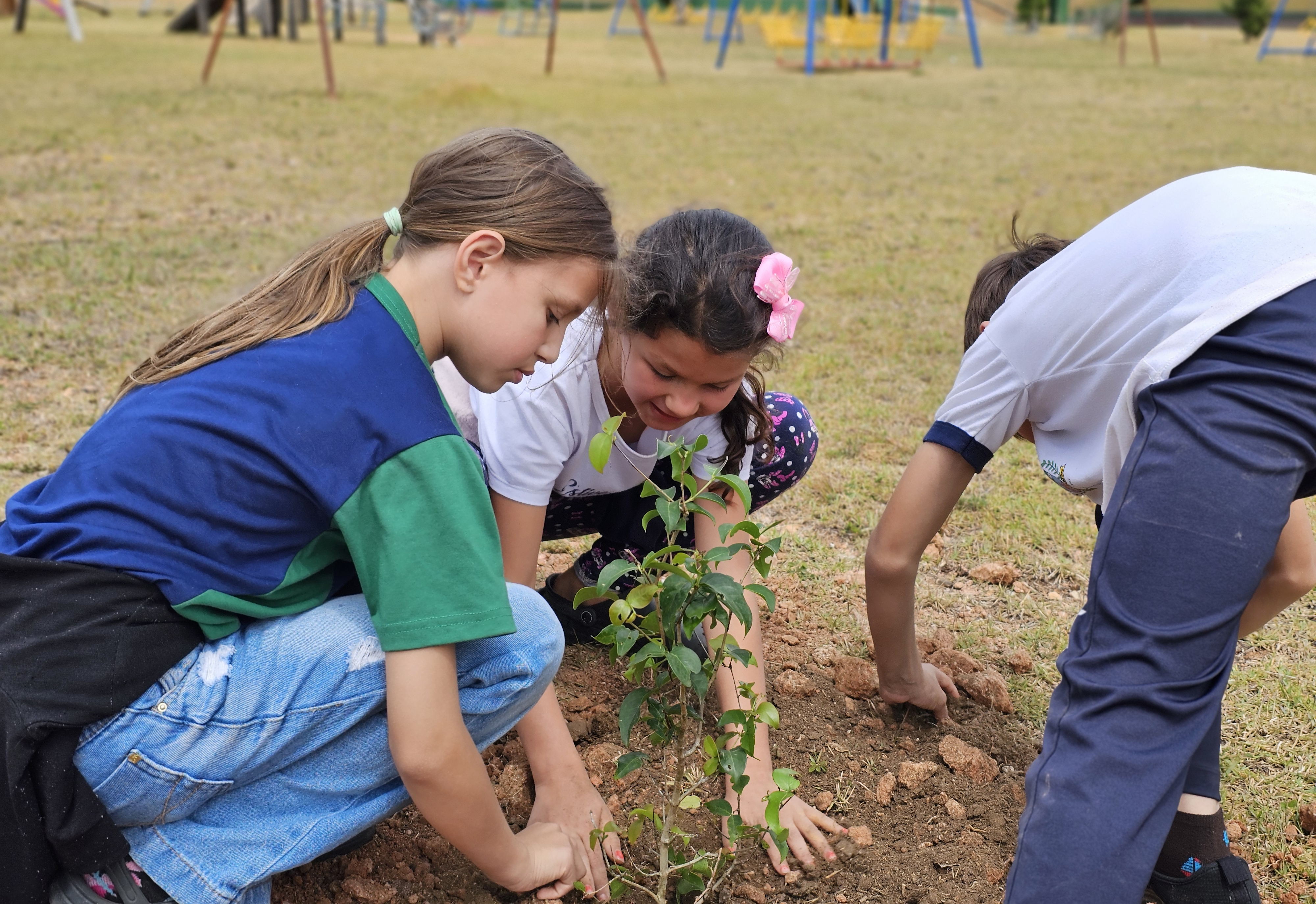 Alunos da Escola Municipal Antônio Ferreira celebram o Dia da Árvore com plantio especial
